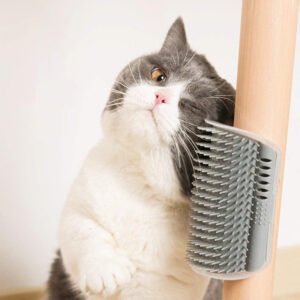 brosse-auto-toilettage-pour-chats-brillant-poils-chaise-meuble-mur-pellage