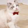 collier-a-petits-carreaux-nœud-papillon-pour-chat-noeud-