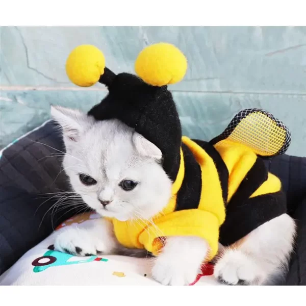 costume-d'abeille-pour-chat