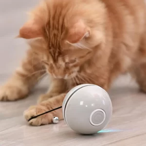 jouet-chat-éducatif-et-intelligent-led-rechargeable-plumeau-balle-usb