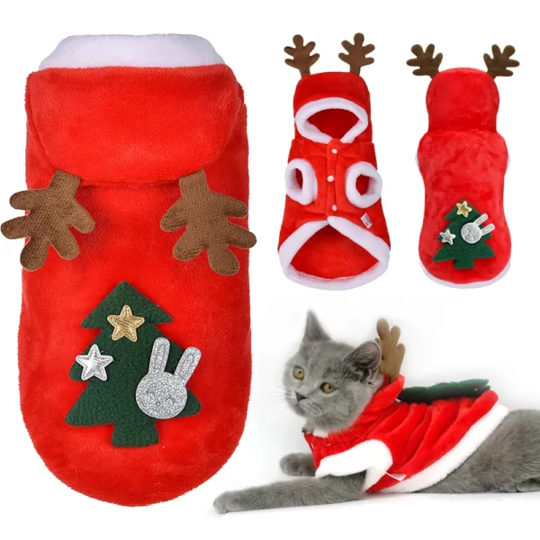 deguisement-noel-pour-chat